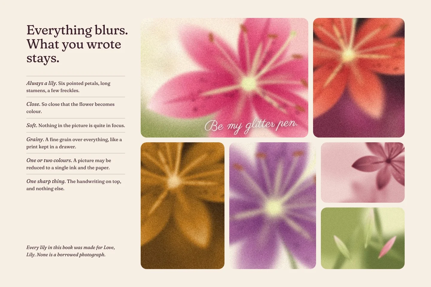 Love, Lily: imagery